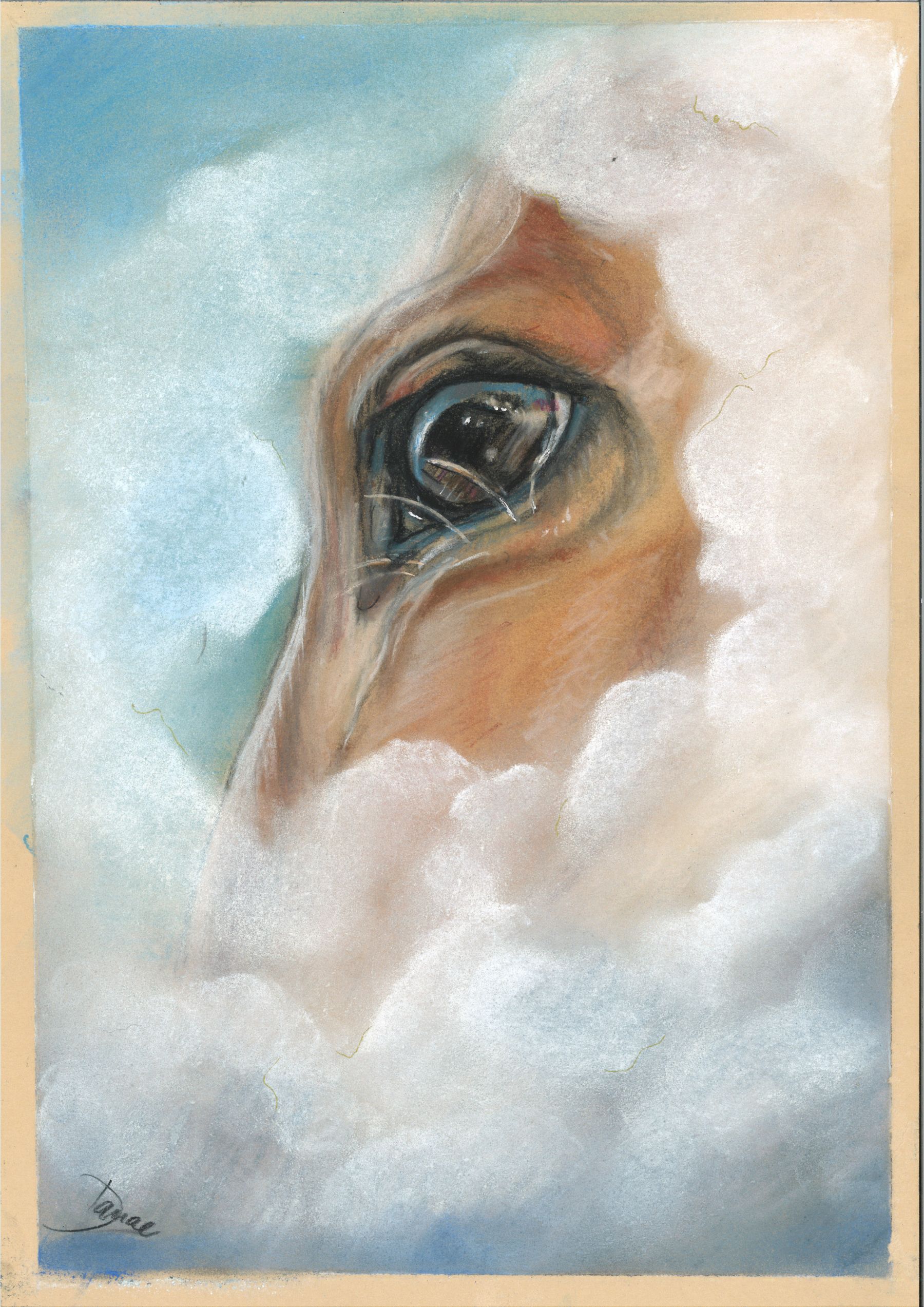 Obrázek Pohled do duše